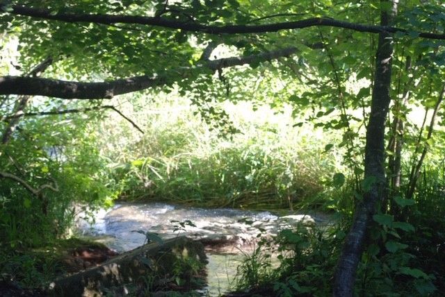 Young at Art - Lara K. ( 19 ) aus Grieskirchen