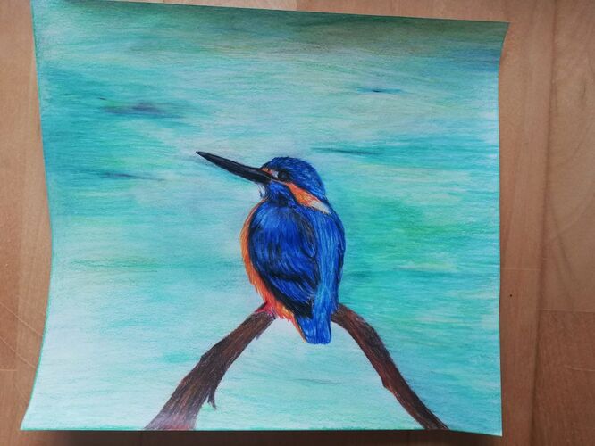 Young at Art - Vanessa B. ( 17 ) aus Ried