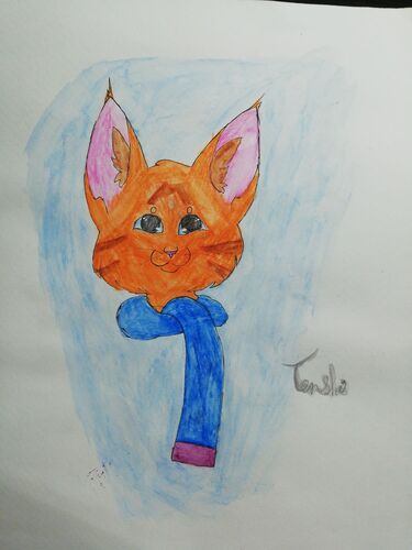 Young at Art - Tamara K. ( 17 ) aus Linz-Land