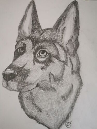 Young at Art - Angelina  W. ( 19 ) aus Eferding