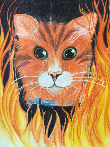 Young at Art - Stefanie K. ( 17 ) aus Linz-Land