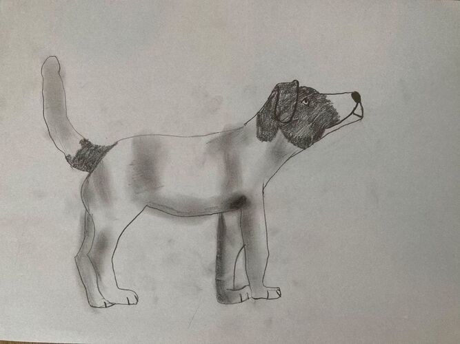 Young at Art - Annika  Z. ( 14 ) aus Ried