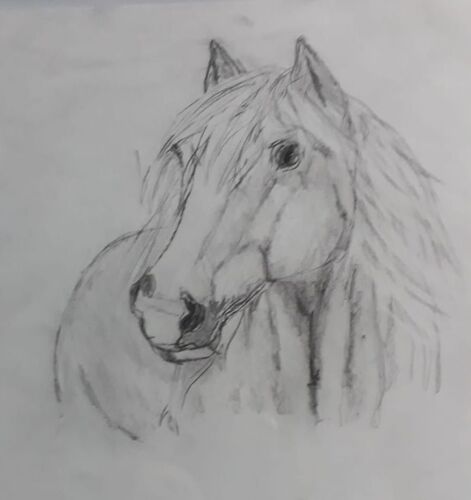 Young at Art - Emma O. ( 15 ) aus Perg