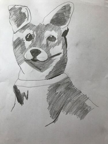 Young at Art - Annika Z. ( 14 ) aus Ried