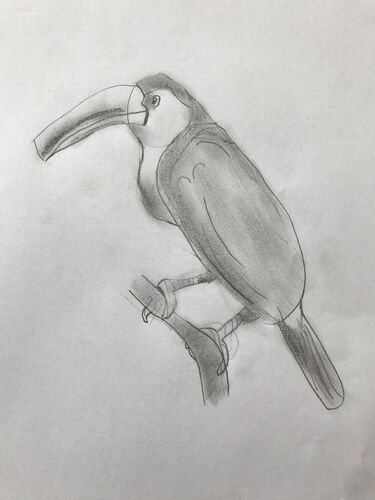 Young at Art - Annika Z. ( 14 ) aus Ried