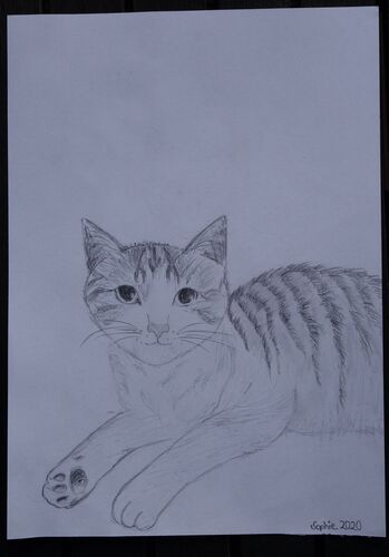 Young at Art - Sophie S. ( 17 ) aus Schärding