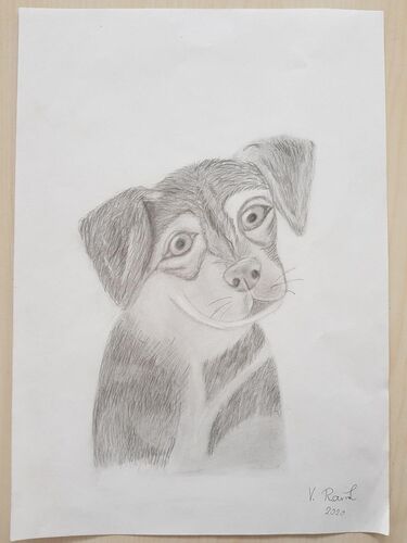 Young at Art - Vanessa R. ( 17 ) aus Perg