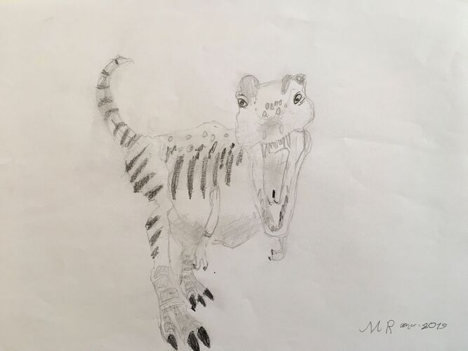 Young at Art - Martin R. ( 5 ) aus Braunau