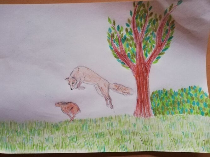 Young at Art - Elina Cäcilia F. ( 16 ) aus Gmunden