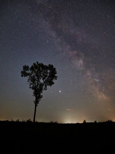 Young at Art - Andreas  S. ( 22 ) aus Wels