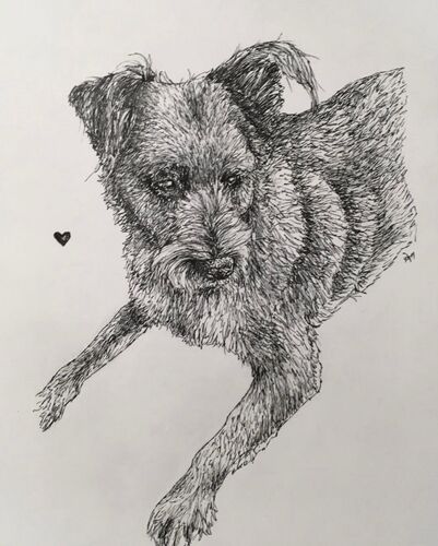 Young at Art - Jolanda Maria  F. ( 22 ) aus Gmunden