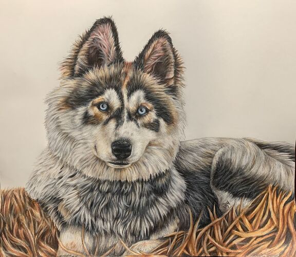 Young at Art - Jolanda Maria  F. ( 22 ) aus Gmunden