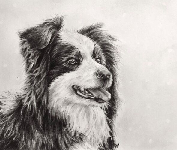 Young at Art - Jolanda Maria  F. ( 22 ) aus Gmunden