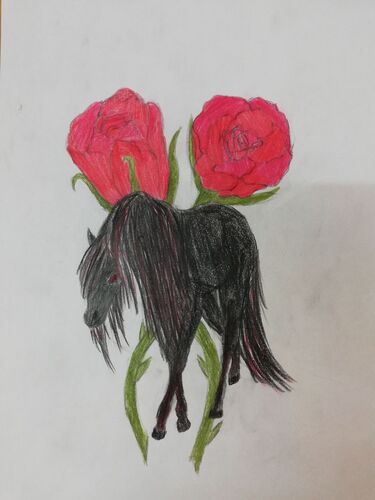 Young at Art - Elina Cäcilia  F. ( 16 ) aus Gmunden