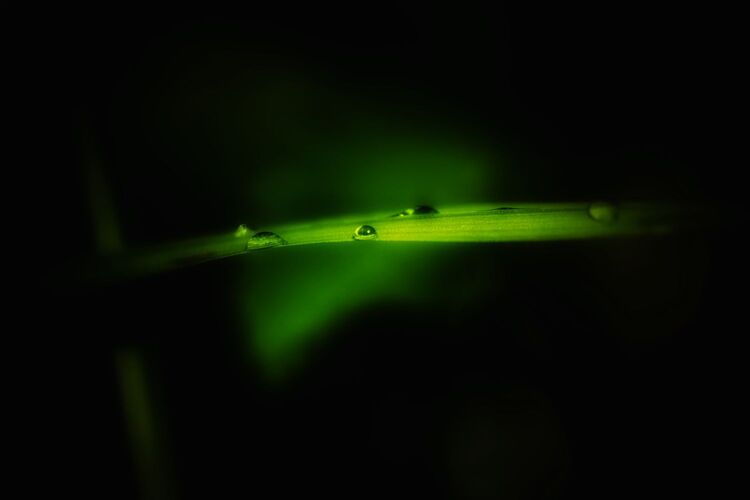 Young at Art - Salome M. ( 22 ) aus Urfahr-Umgebung