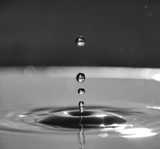 Young at Art - Andreas  S. ( 22 ) aus Wels