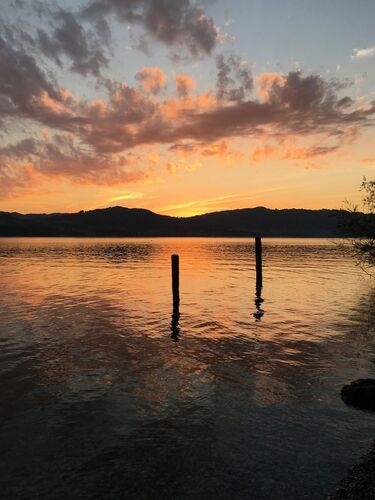 Young at Art - Hanna B. ( 19 ) aus Vöcklabruck