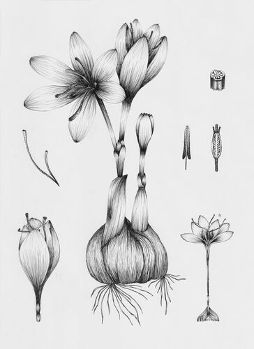 Young at Art - Lena H. ( 21 ) aus Braunau