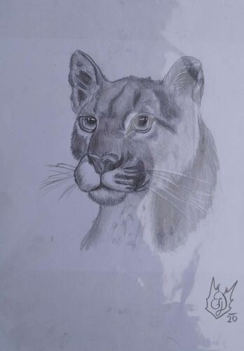 Young at Art - Emma  aus Steyr