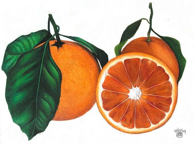 Young at Art - Hatice aus Linz-Land