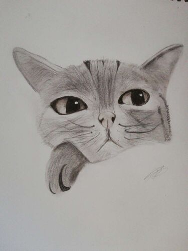 Young at Art - Ronja aus Urfahr-Umgebung