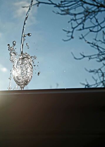 Young at Art - Lara aus Freistadt