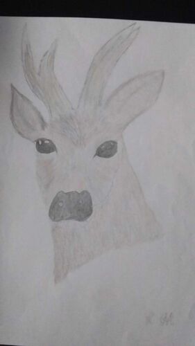 Young at Art - Lejla aus Urfahr-Umgebung