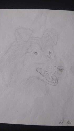 Young at Art - Lejla aus Urfahr-Umgebung