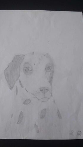 Young at Art - Lejla aus Urfahr-Umgebung