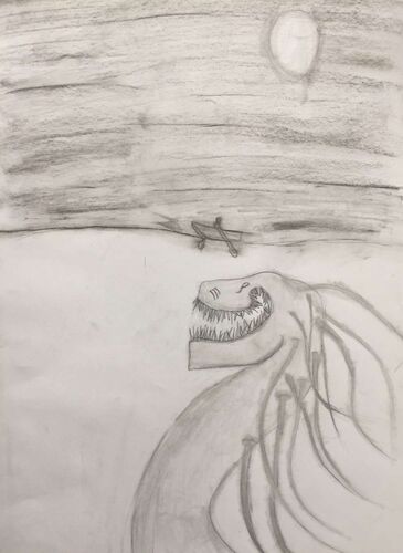 Young at Art - Markus aus Braunau