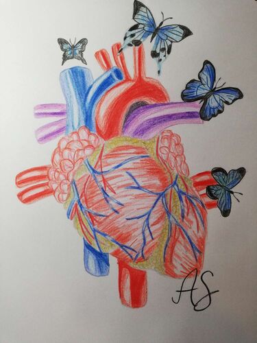 Young at Art - Anna-Sophie aus Kirchdorf