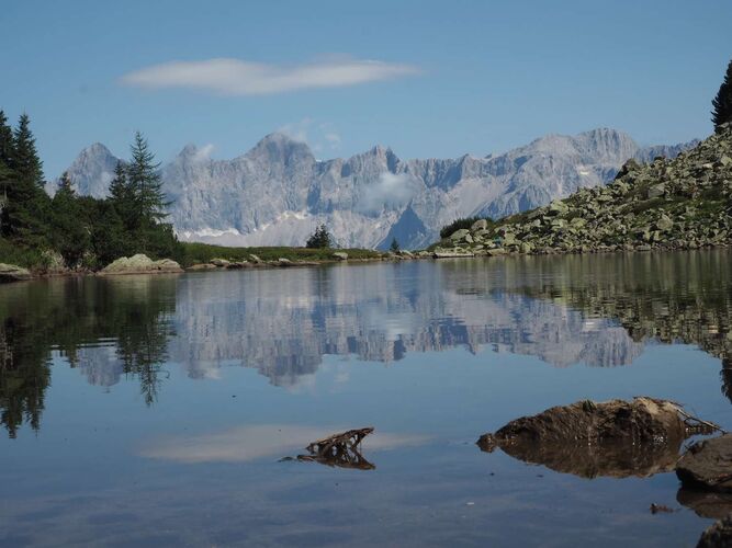 Young at Art - Sophie aus Linz-Land