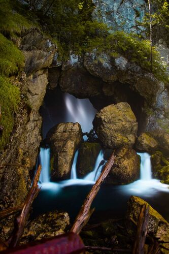 Young at Art - David aus Ried