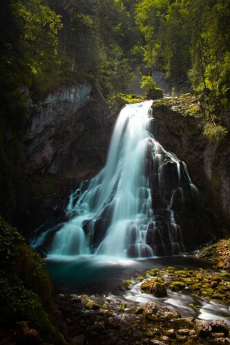 Young at Art - David aus Ried