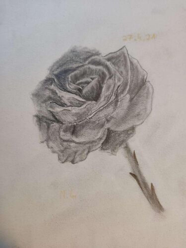 Young at Art - Madlen aus Ried