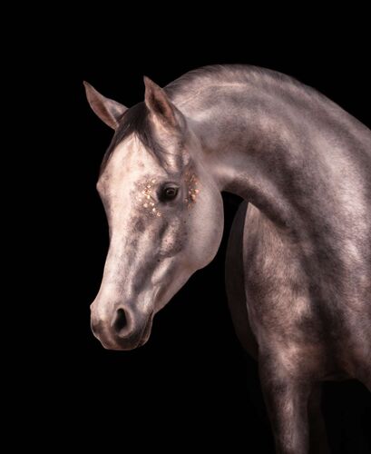 Young at Art - Sara aus Linz-Land