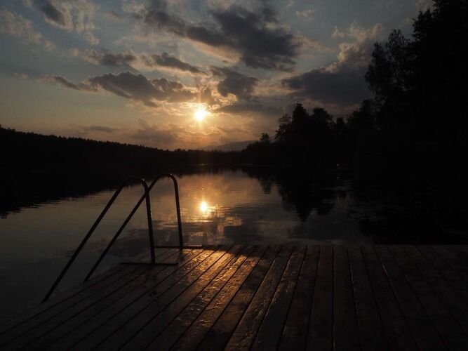 Young at Art - Sophie aus Linz-Land