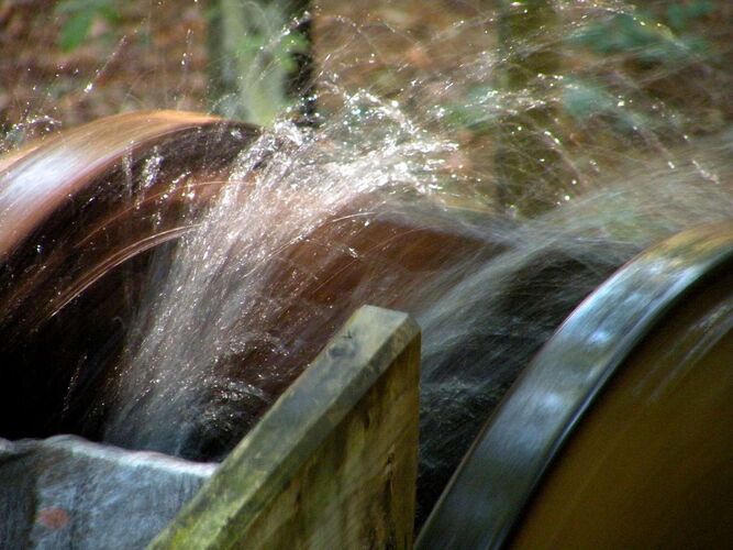 Young at Art - Leo aus Grieskirchen