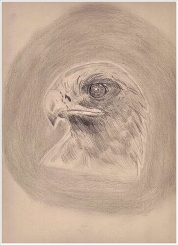 Young at Art - Sarah aus Freistadt