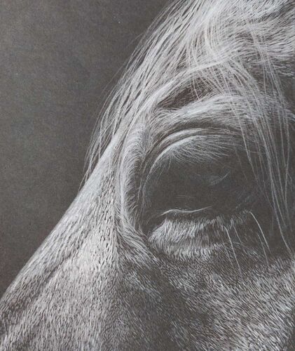 Young at Art - Sarah aus Ried