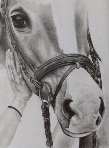 Young at Art - Sarah aus Ried