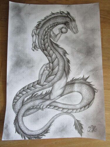 Young at Art - Teresa aus Grieskirchen