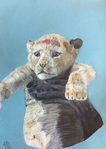 Young at Art - Lukas aus Grieskirchen