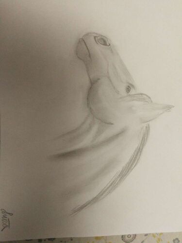 Young at Art - Luisa aus Enns