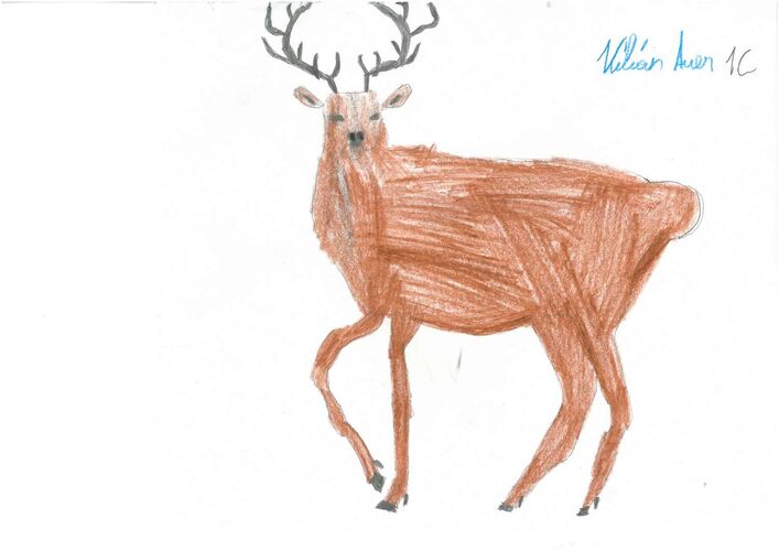 Young at Art - Kilian aus Perg