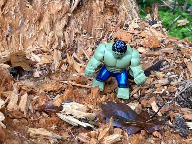 Young at Art - Luca aus Ried