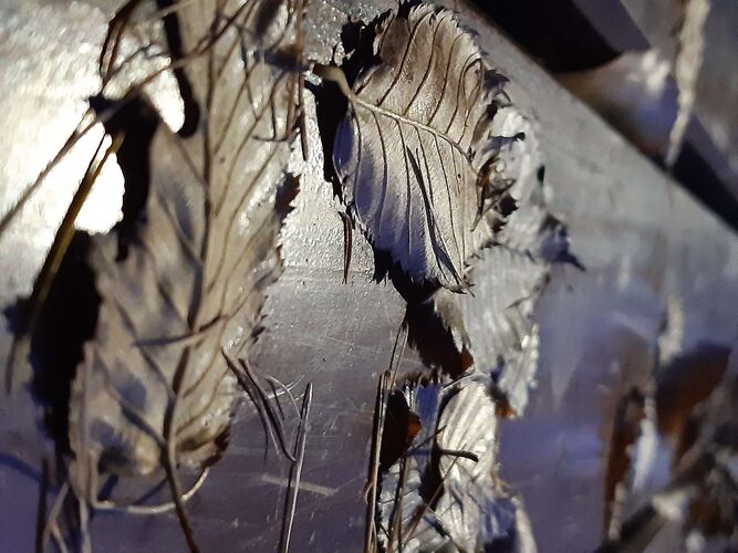 Young at Art - Jasmin  aus Steyr