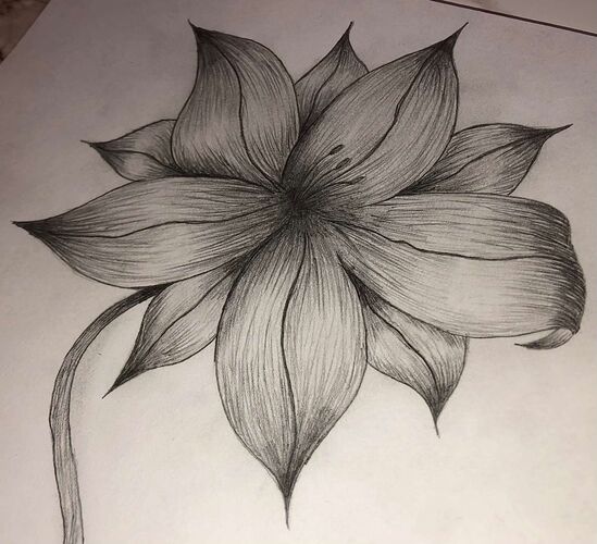 Young at Art - Luca aus Linz-Land