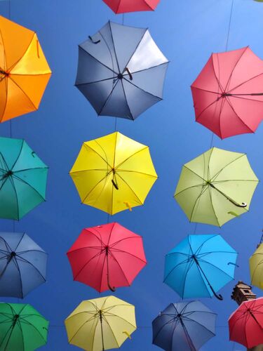 Young at Art - Jonas aus Braunau