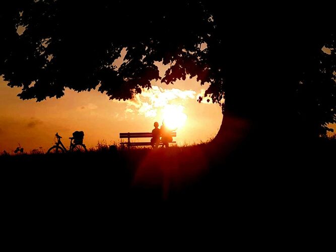 Young at Art - Jonas aus Braunau